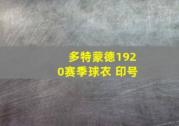 多特蒙德1920赛季球衣 印号